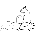 dog&cat.GIF