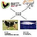 分子矯正醫學-2.jpg