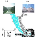 分子矯正醫學-5.jpg