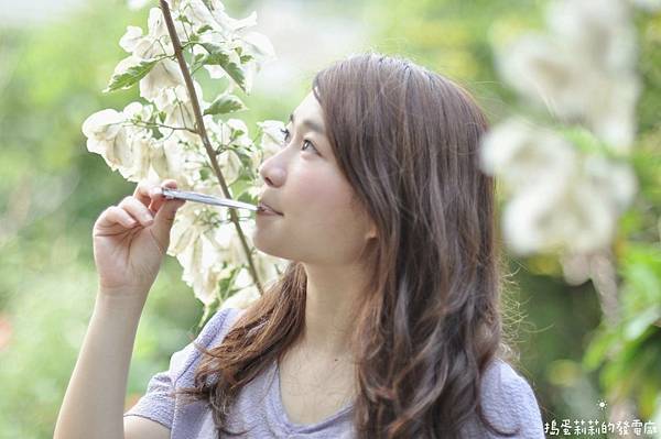 美美推薦》日本原裝進口美顏飲→日彌NIMI芙蓉飲｜喝芙蓉飲養