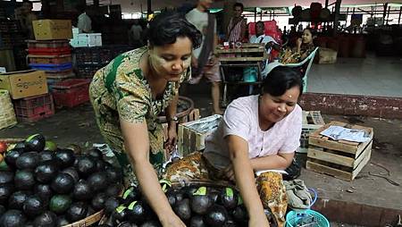 490741962-avocado-vegetable-market-market-woman-show-case.jpg