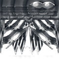8146962_1398107706l722.png