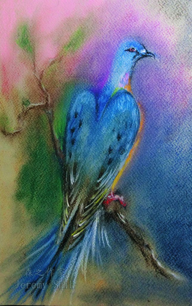 旅鴿之死.JPG 旅鴿之死.JPG