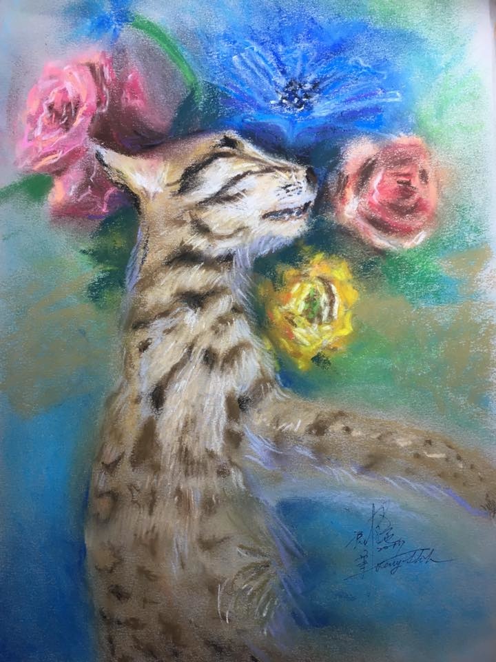 16864207_1446075202077772_1897170375707062142_n.jpg 16864207_1446075202077772_1897170375707062142_n.jpg