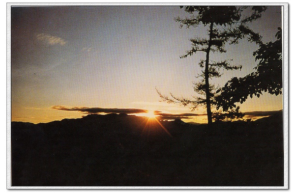 阿里山002.jpg 阿里山002.jpg