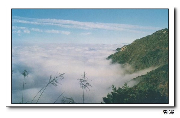 雲海.jpg 雲海.jpg