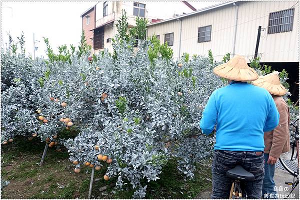 IMG_3705.jpg IMG_3705.jpg