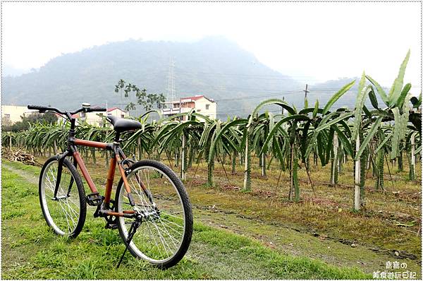 IMG_3713.jpg IMG_3713.jpg