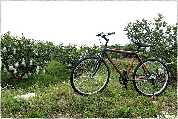 IMG_3710.jpg IMG_3710.jpg