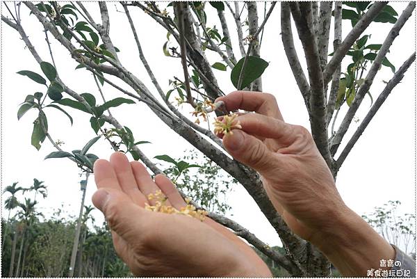 IMG_3722.jpg IMG_3722.jpg