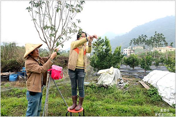 IMG_3724.jpg IMG_3724.jpg