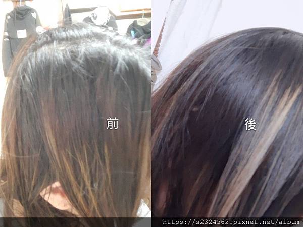 試用