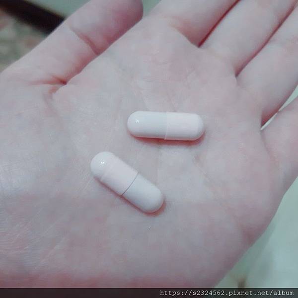 女人知己試用大隊,ibo-up愛波革命-大波丸,美胸,營養補充,膨潤有彈性