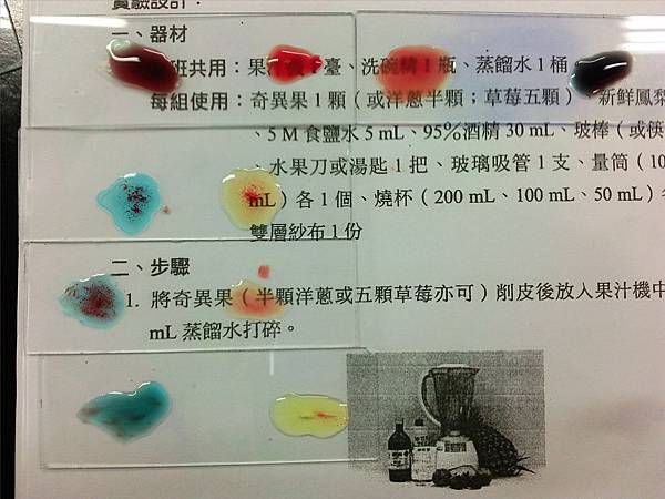 生物實驗-血型測定