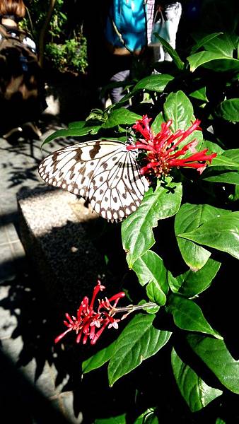 20140123-動物園