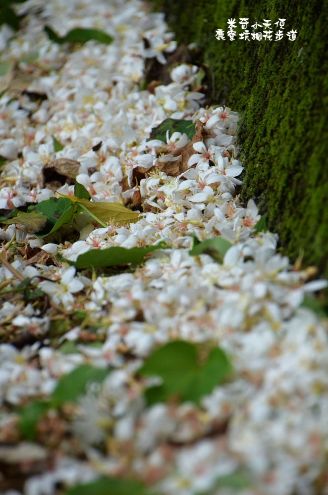 DSC_2472.jpg