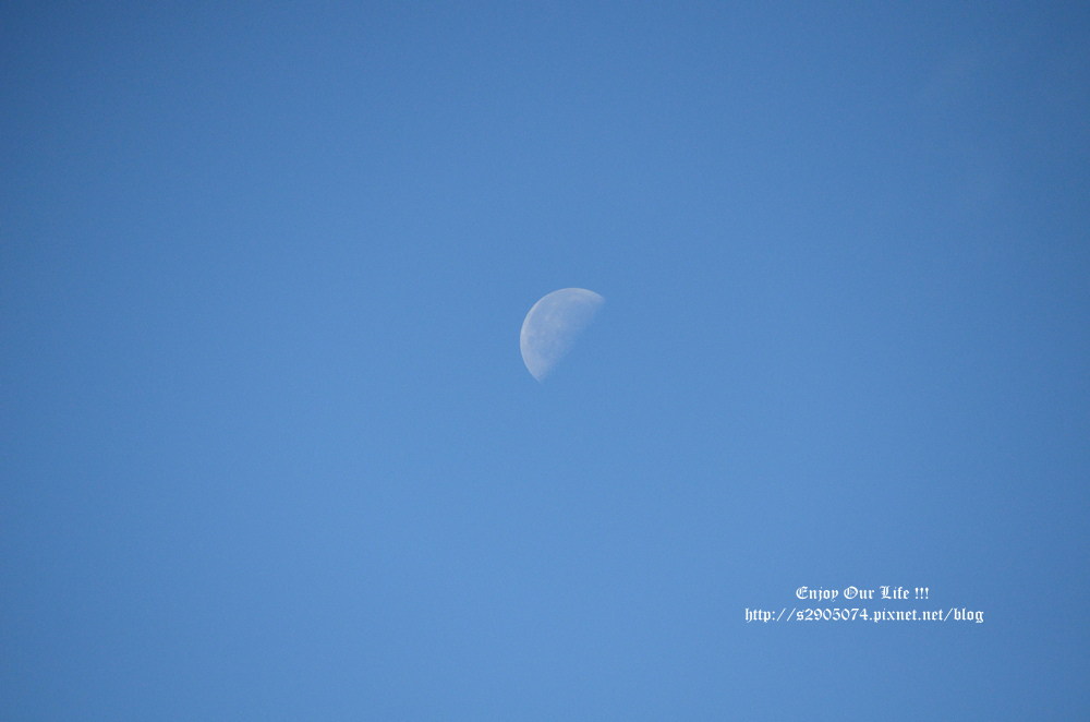 DSC_0346.jpg