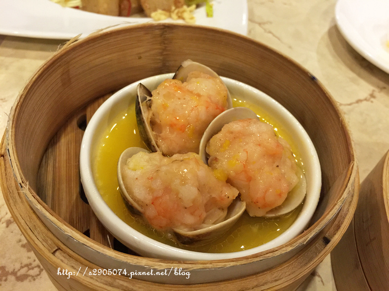 IMG_0428.jpg IMG_0428.jpg