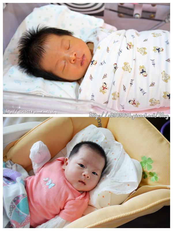 top1_副本 top1_副本