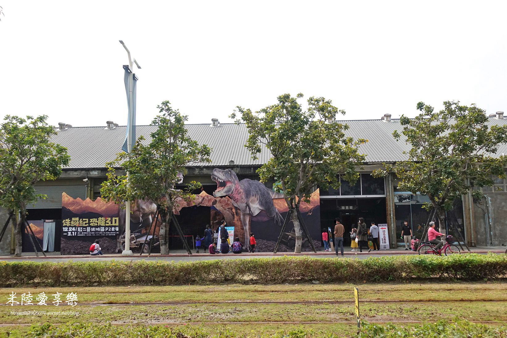 DSC08618.jpg