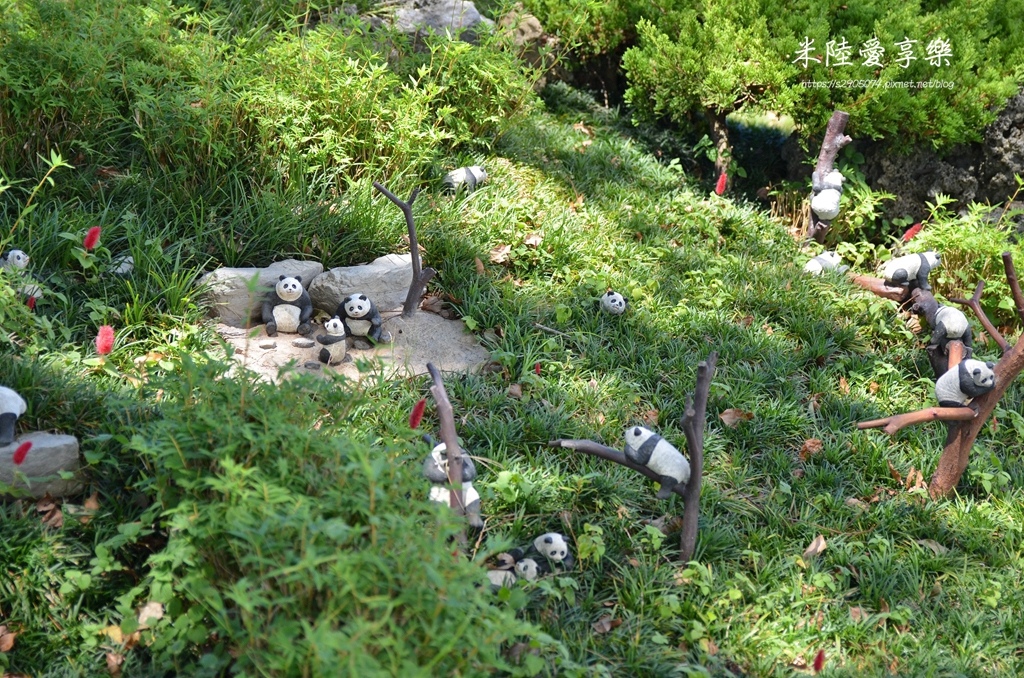 DSC_0280.jpg