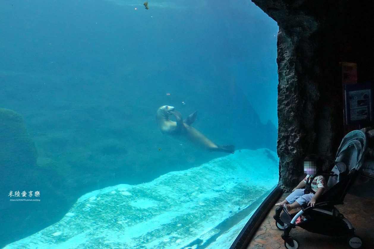 花蓮遠雄海洋公園遊行-探險島水族館