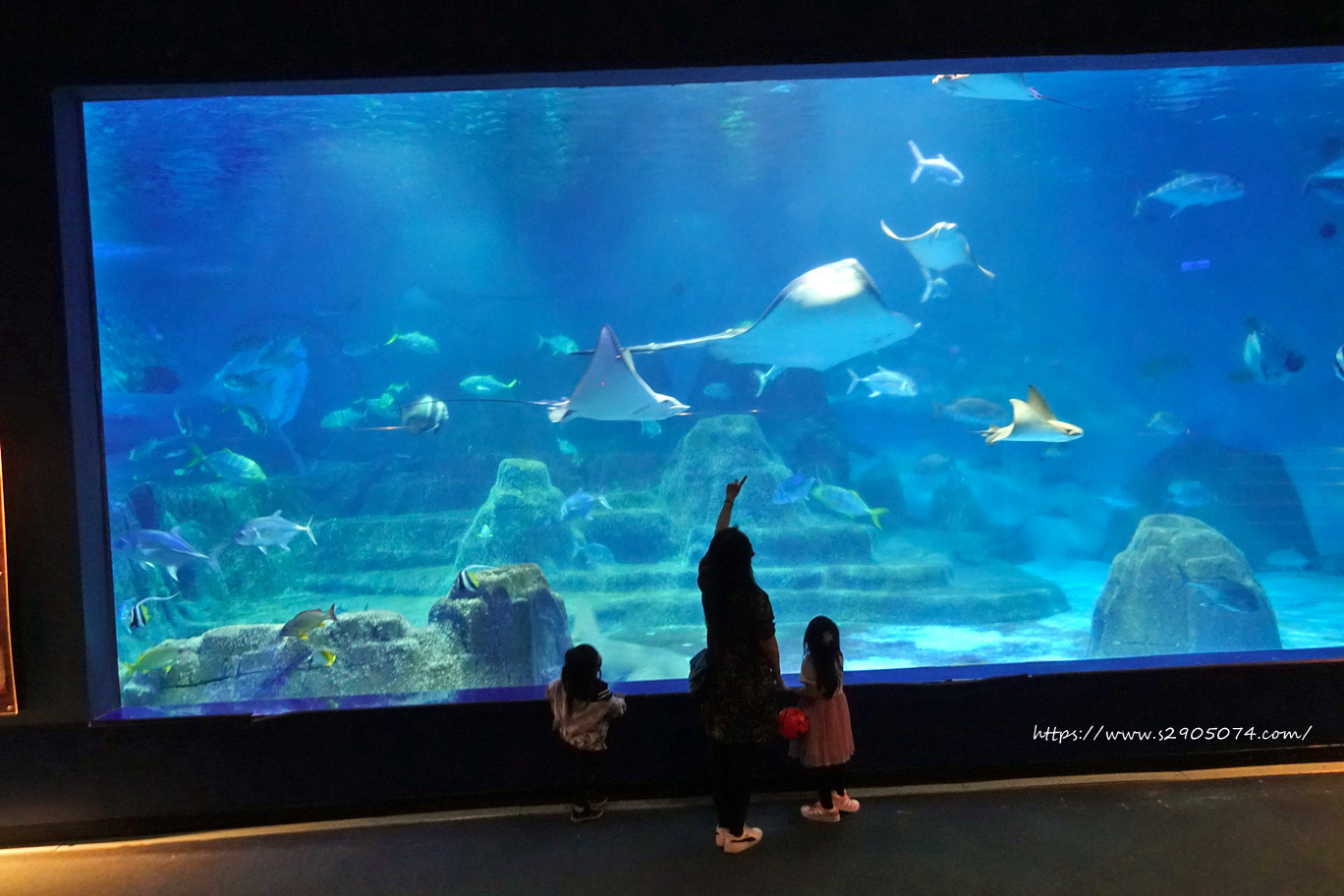 花蓮遠雄海洋公園遊行-探險島水族館