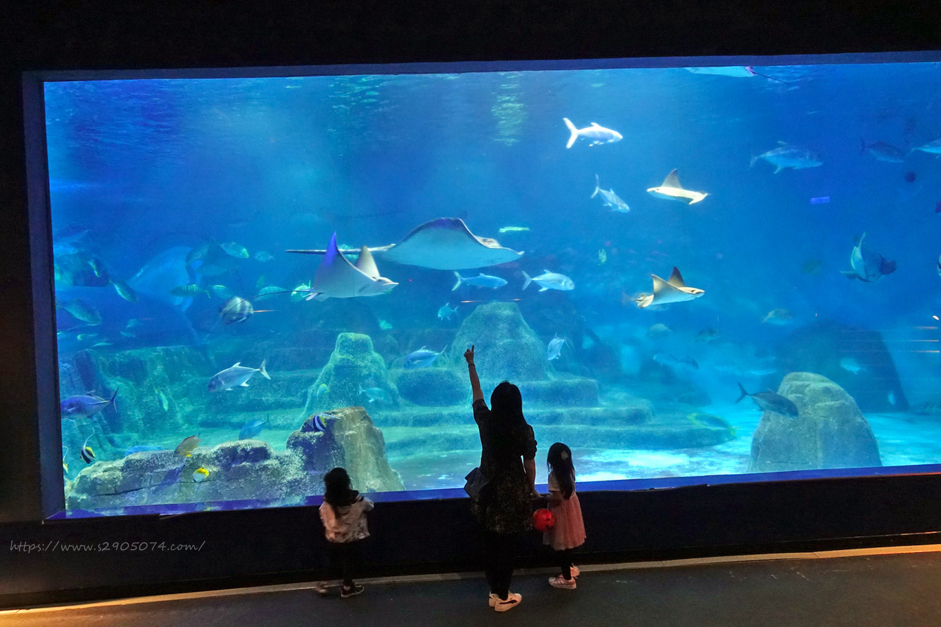 花蓮遠雄海洋公園遊行-探險島水族館