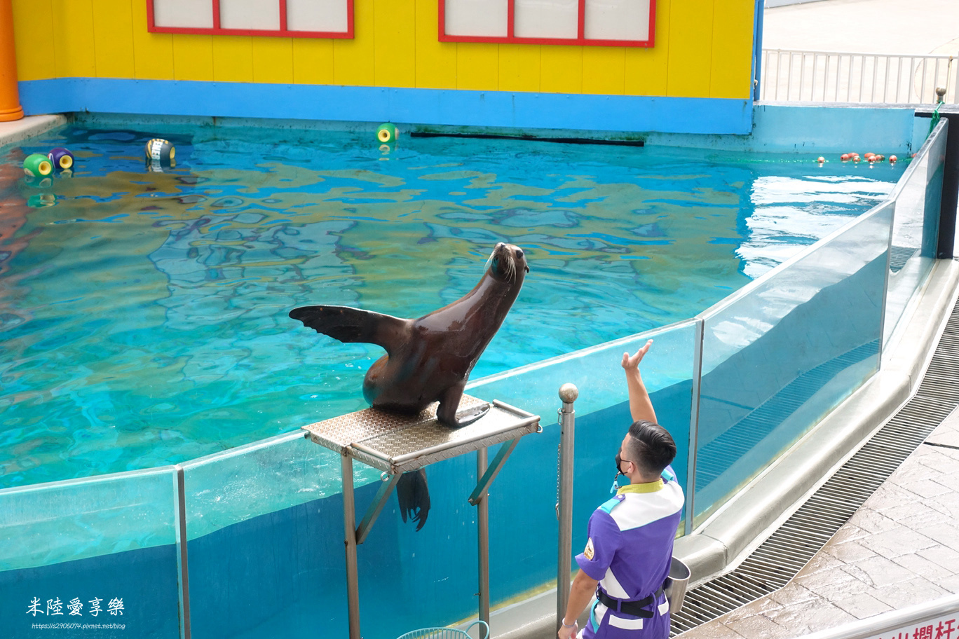 花蓮遠雄海洋公園海獅巡警隊