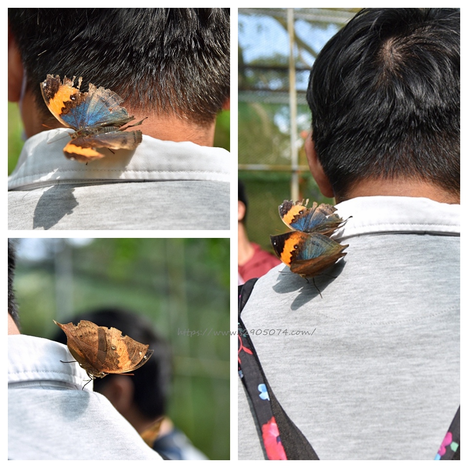 DSC_0117_副本.jpg