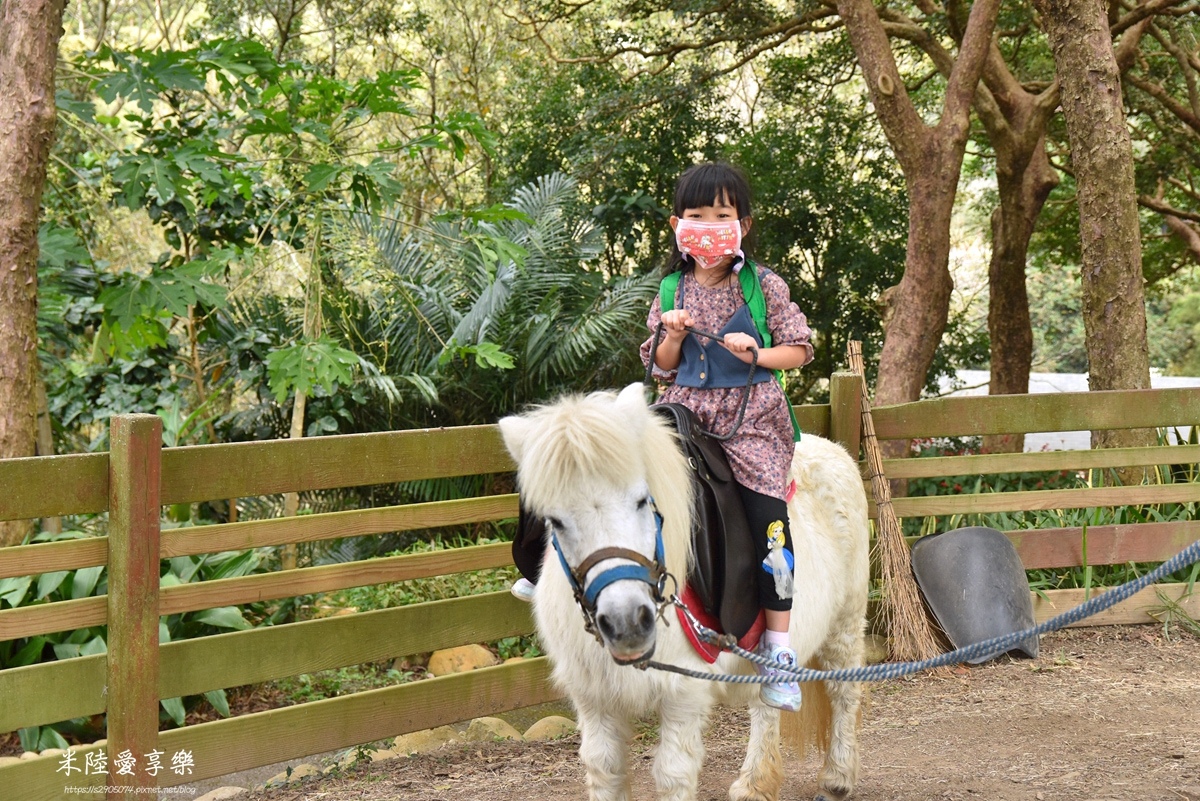 DSC_0309.jpg