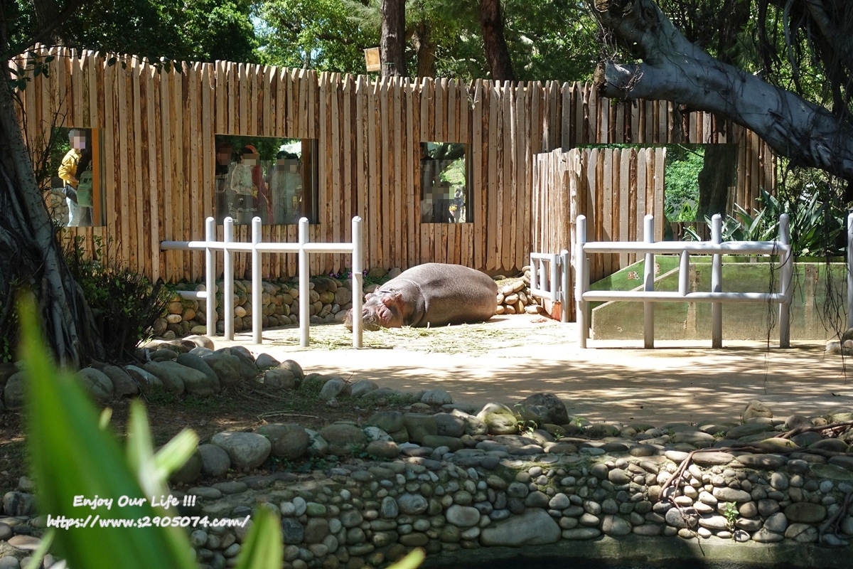 新竹市立動物園