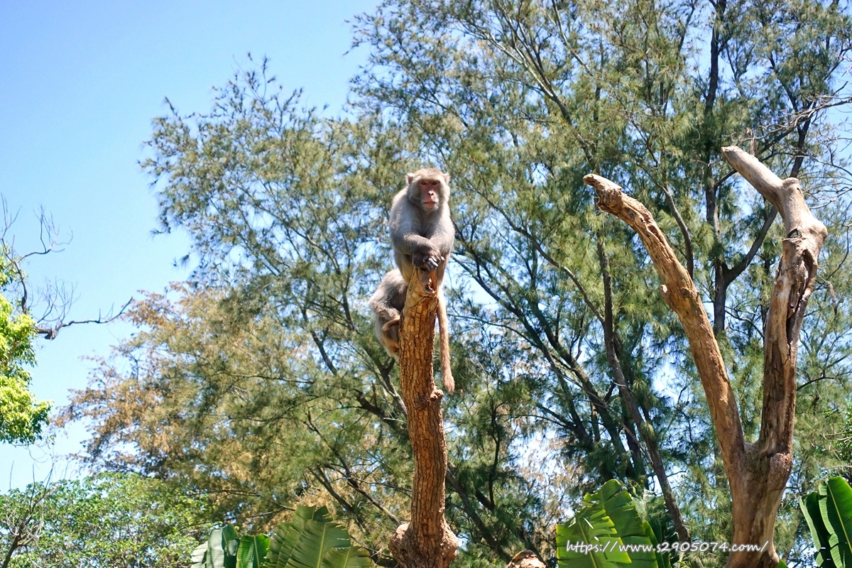 新竹市立動物園