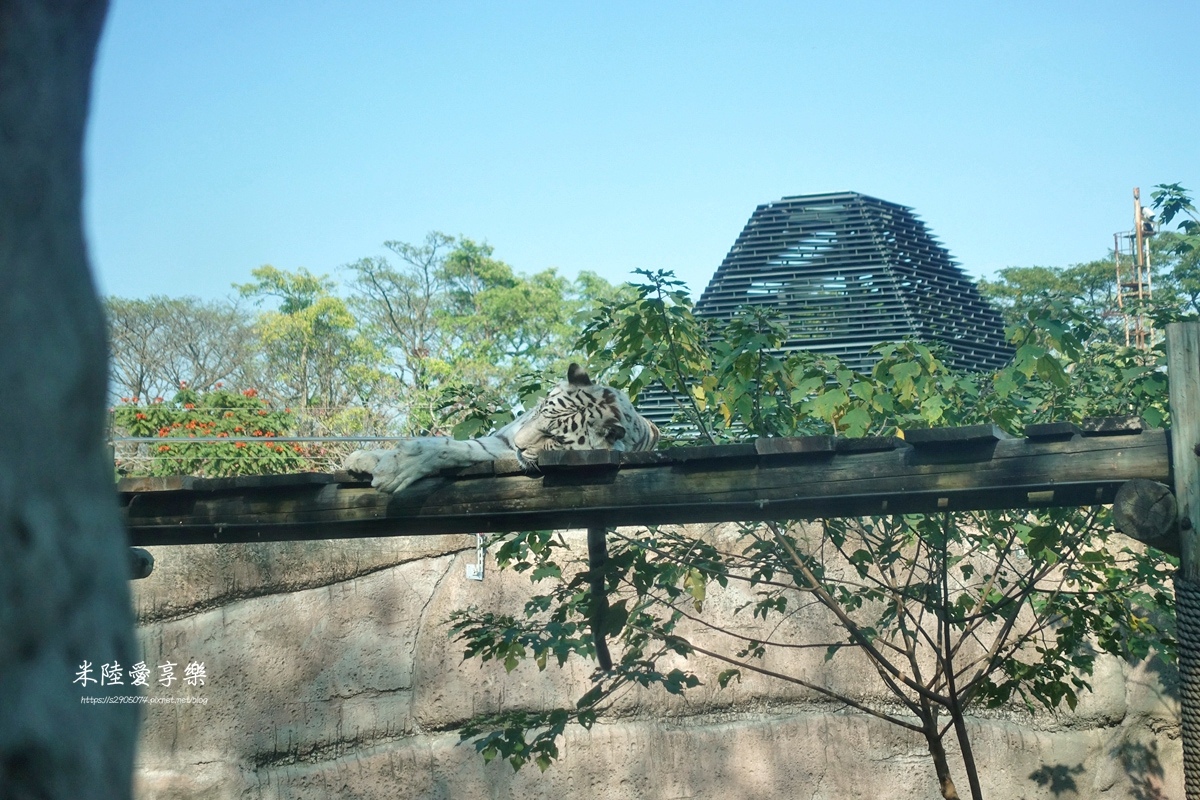 壽山動物園DSC03529057.jpg