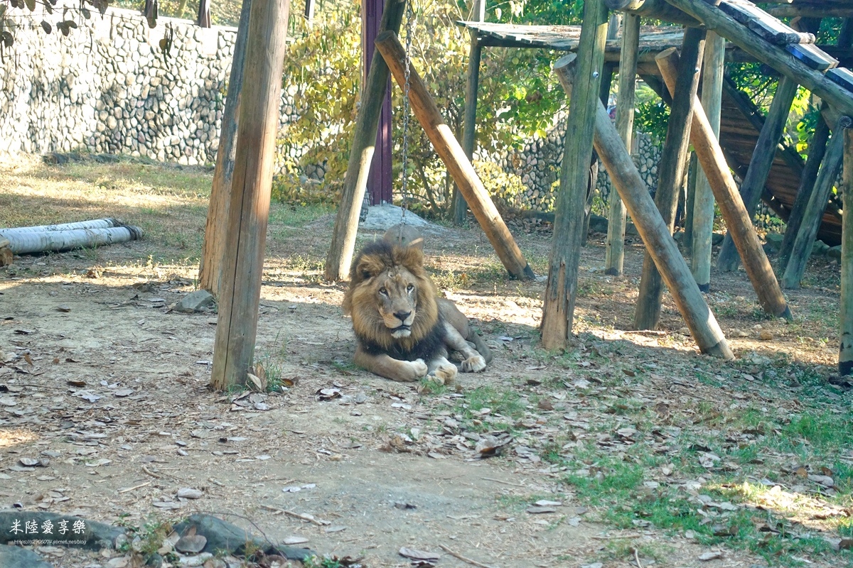 壽山動物園DSC03630152.jpg