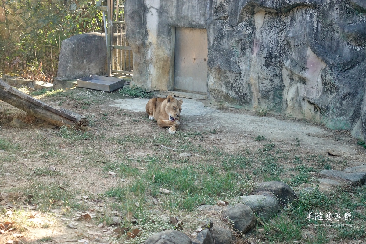 壽山動物園DSC03633155.jpg