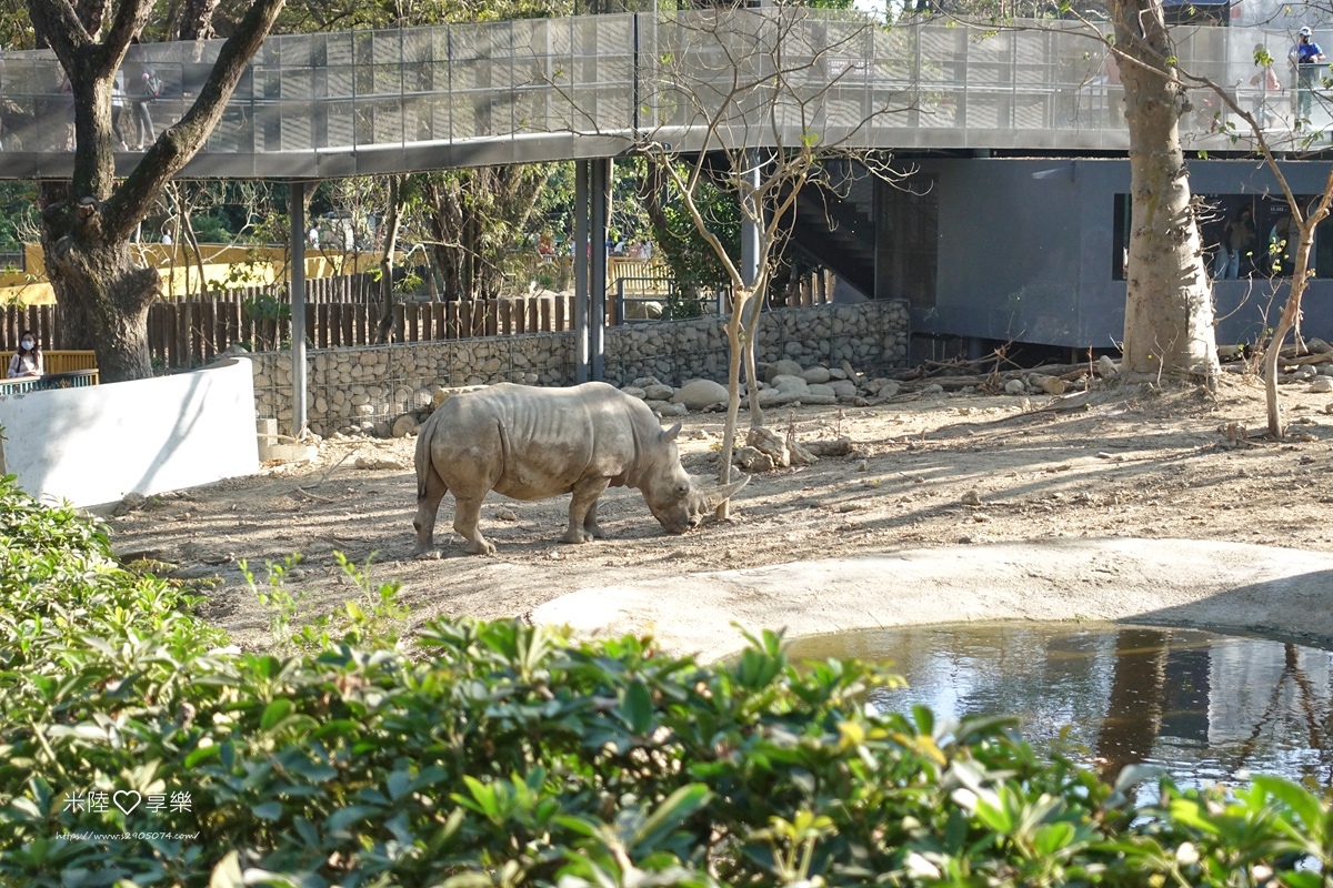 壽山動物園DSC03665187.jpg