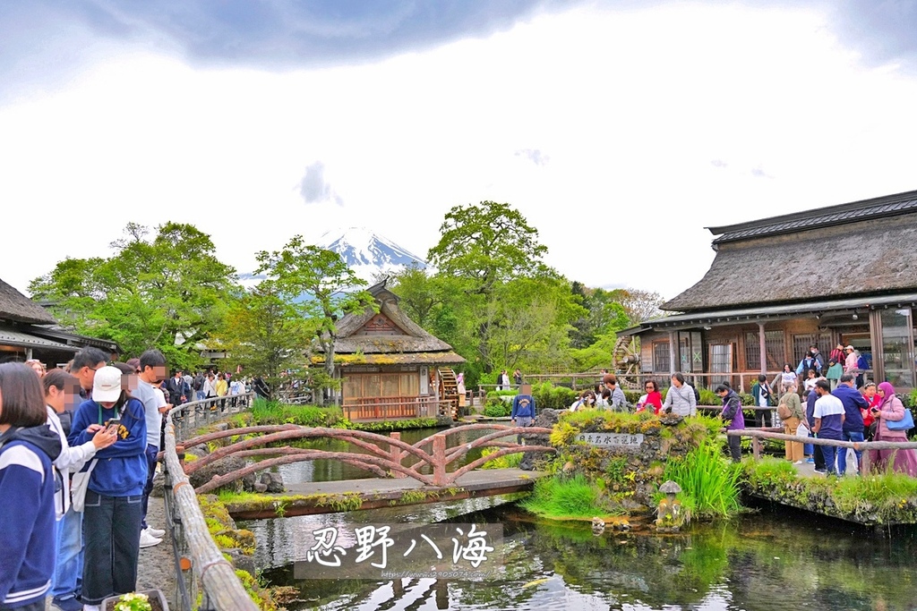 【日本河口湖】仁野八海✔世界遺產✔自然美景✔日式糰子、大栗子