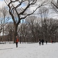 central park at winter_Panorama 3.jpg
