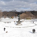 central park at winter_Panorama 12.jpg