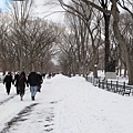 central park at winter_Panorama 5.jpg