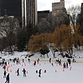 central park at winter_Panorama 2.jpg
