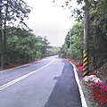 巴拉卡公路