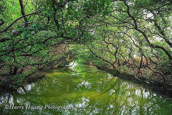 台江國家公園