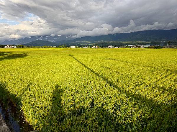三、東部鐵路在花東縱谷
