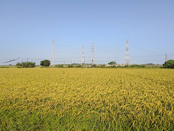 一、縱貫西部的鐵路（下）