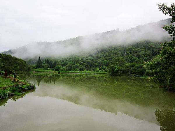 向天湖霧來