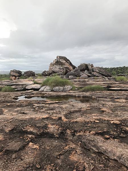 Frog stone