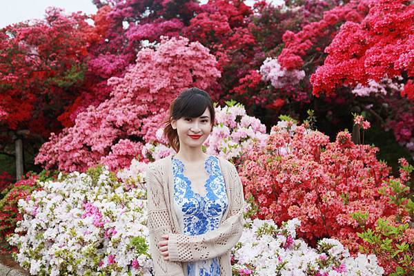 關東近郊 賞花 躑躅ケ岡館林つつじが岡公園 含巴士資訊 苒苒札記 痞客邦 關東近郊 賞花 躑躅ケ岡館林つつじが岡公園 含巴士資訊 苒苒札記 痞客邦