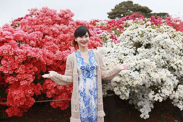 關東近郊 賞花 躑躅ケ岡館林つつじが岡公園 含巴士資訊 苒苒札記 痞客邦 關東近郊 賞花 躑躅ケ岡館林つつじが岡公園 含巴士資訊 苒苒札記 痞客邦